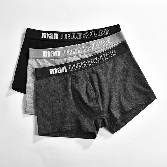 UW Men - Boxer men's underwear men cotton underpants male pure men panties shorts underwear boxer shorts  cotton solid